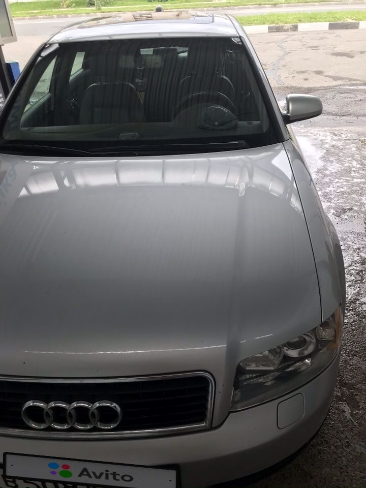 Audi A4: фото владельца