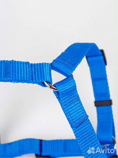 Шлейка для собаки