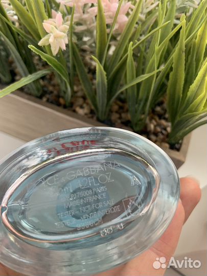 Духи D&G Light Blue