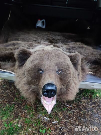 Шкура медведя имитация