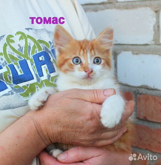 Малыши ищут свои семьи