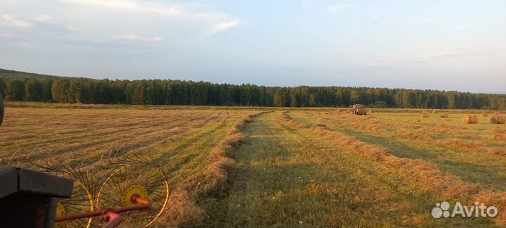 Сено в рулонах