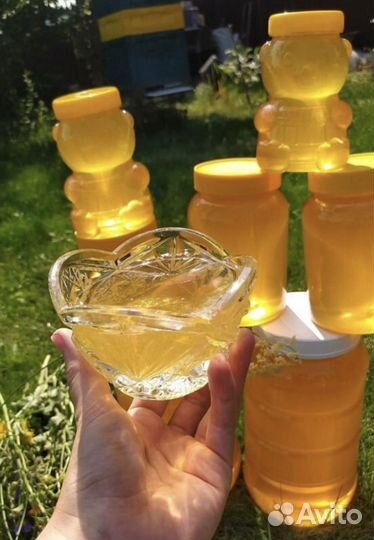 Свежий липовый мед 2023