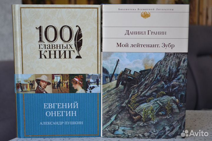 Библиотека всемирной литературы и подарочные книги