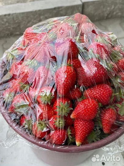 Свежая клубника