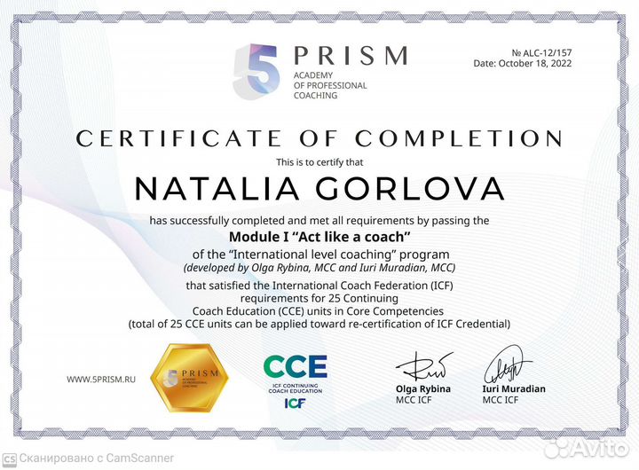 Коуч, Наставник