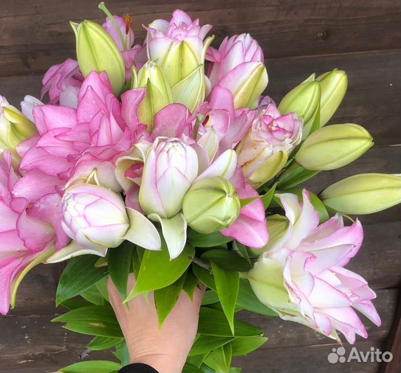 Лилии.Срезка.Букет