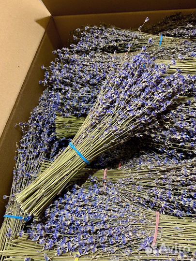 Букет из Лаванды