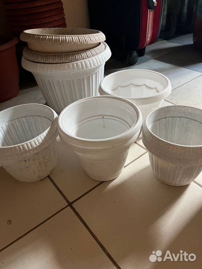 Горшки, кашпо, вазы, цветы. Бочок для унитаза