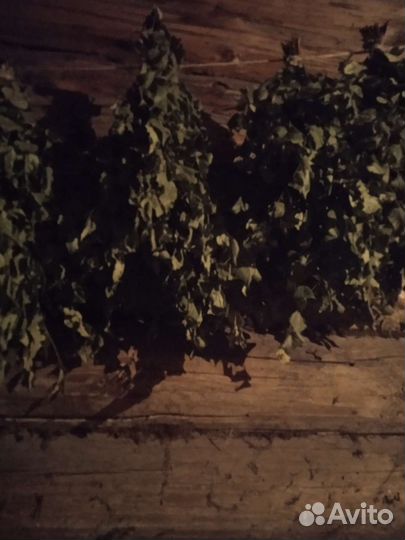 Березовые веники