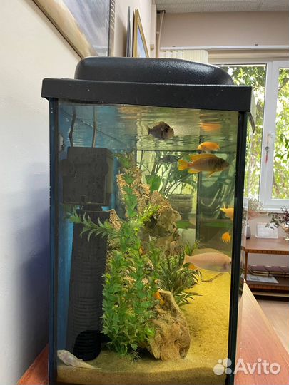 Аквариум Wromak с тумбой