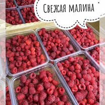 Малина ягоды оптом