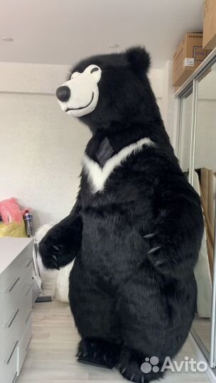 Черный мндведь из тик-тока