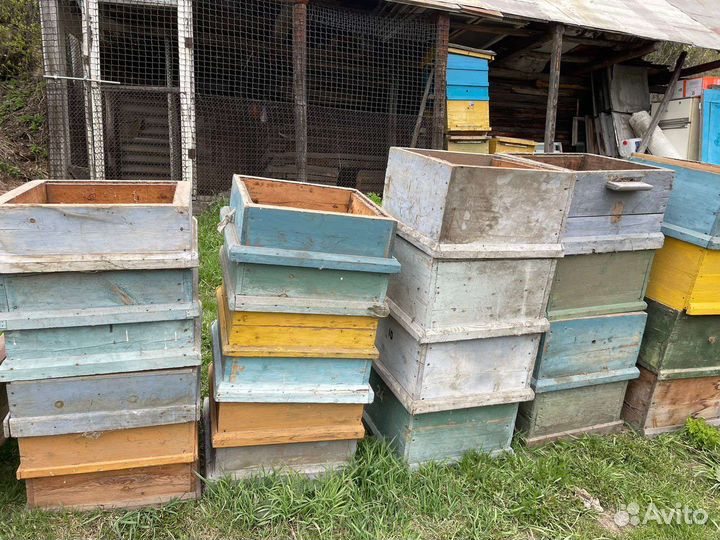 Ульи для пчел