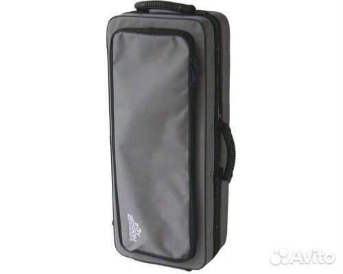 Roy Benson AS-202 Eb альт-саксофон