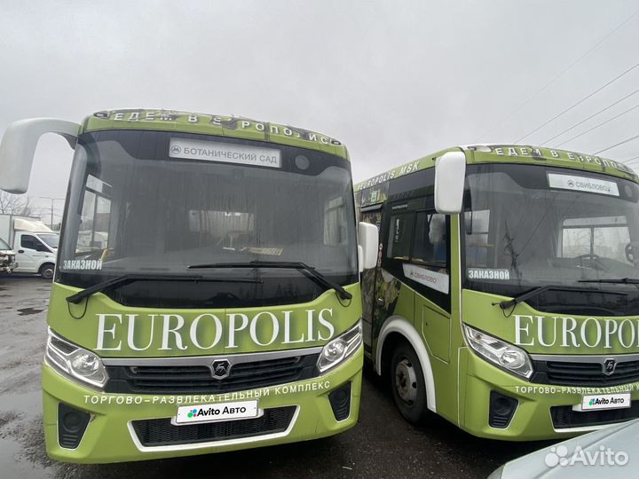 Городской автобус ПАЗ Вектор Next, 2021