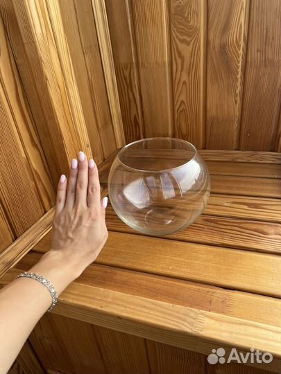 Стеклянная ваза (аквариум)