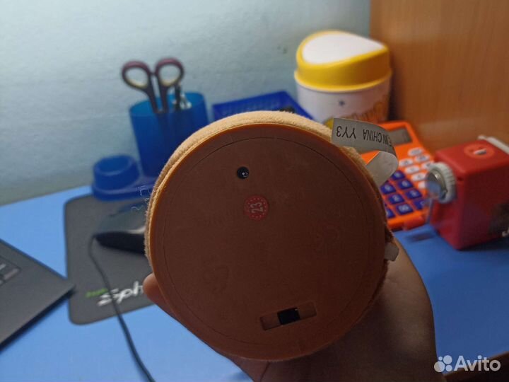 Говорящий кактус