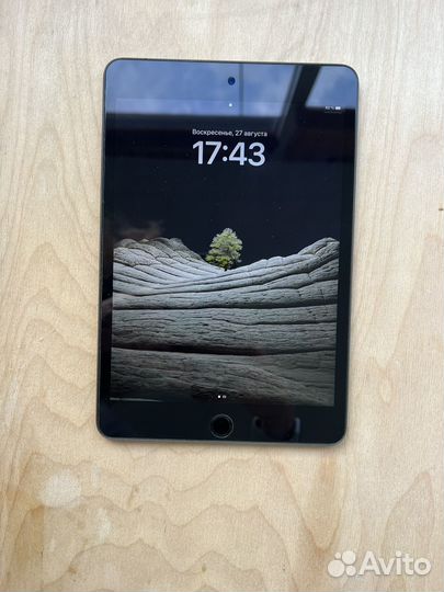 iPad mini 5 64gb wifi sim