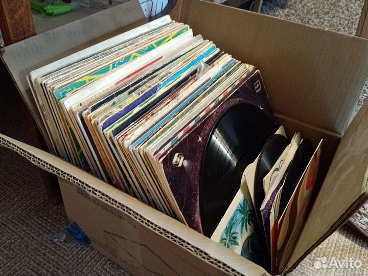 Виниловые пластинки