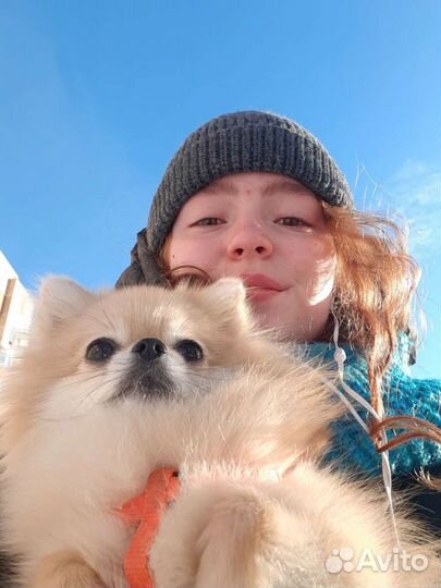 Дрессировка собак кинолог