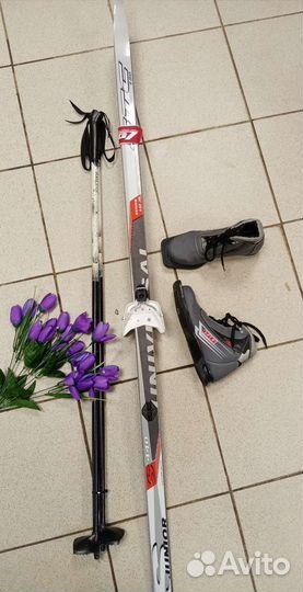 Беговые лыжи