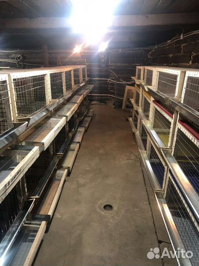 Клетка 2х ярусная для кур несушек