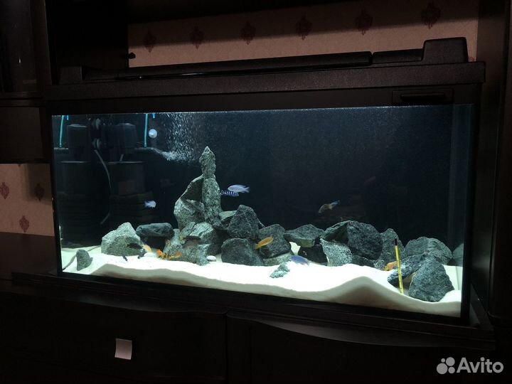 Аквариум