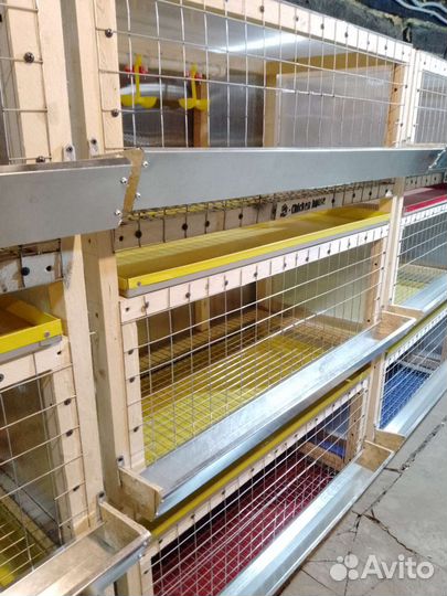Клетка 2х ярусная для кур несушек