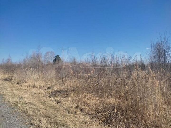 Участок 11 сот. (ИЖС)