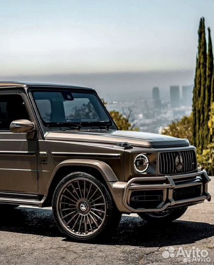 Кенгурятник на mercedes g63 w463 amg