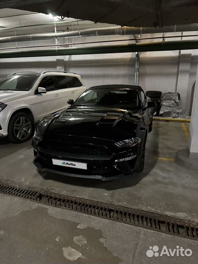 Ford Mustang 2.3 AT, 2019, 47 300 км