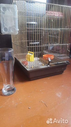 Клетка для попугая
