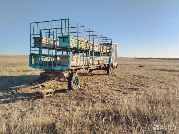 Продам пасеку