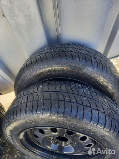 КАМА 365 LT (НК-243) 175/65 R14