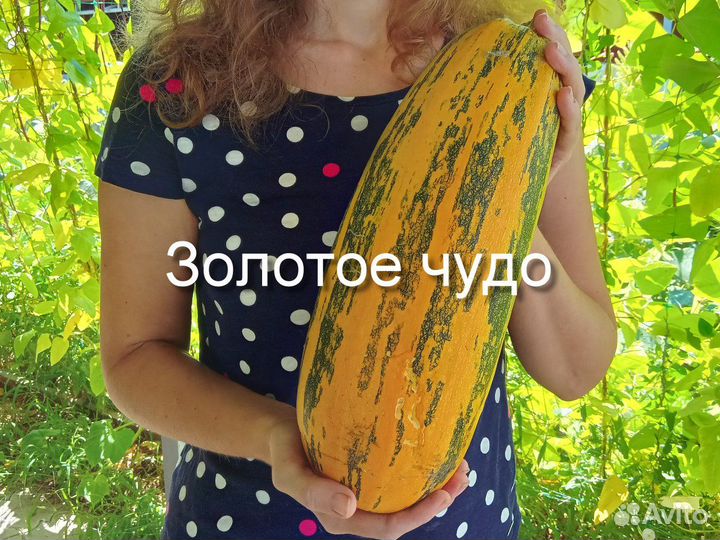 Зимние кабачки