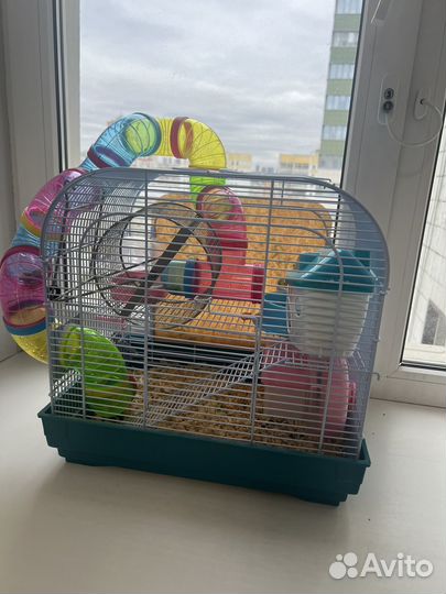 Клетка для джунгарского хомяка