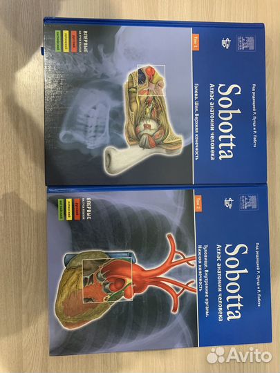 Sobotta Атлас анатомии человека