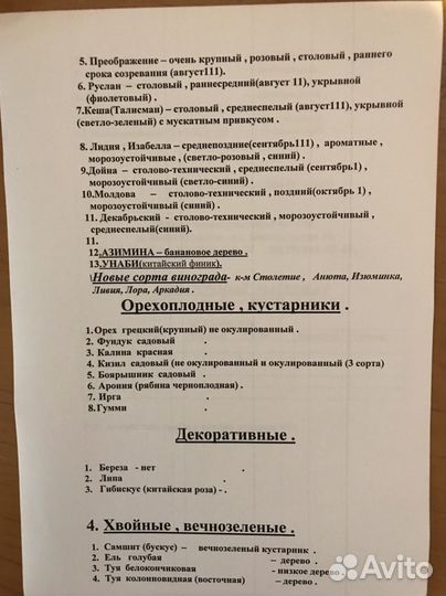 Саженцы плодово-ягодных деревьев и кустарников