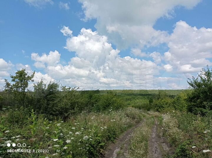Участок 8 га (СНТ, ДНП)