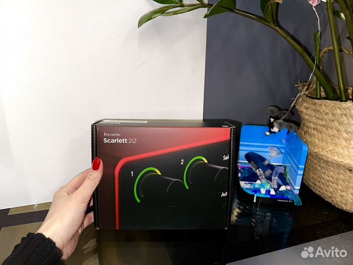Аудиоинтерфейс Focusrite Scarlett 2i2 4th Gen