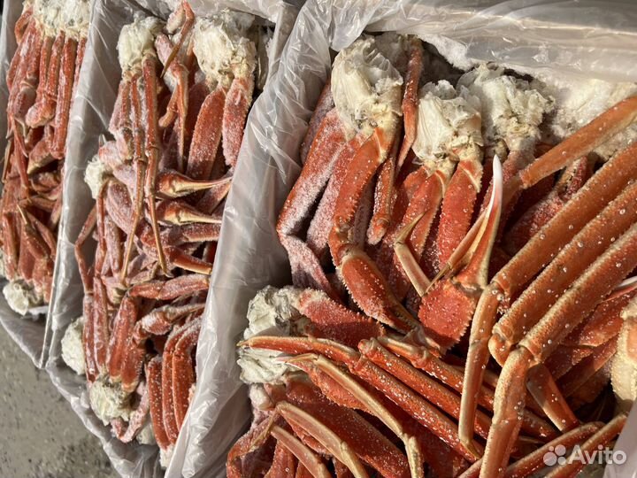 Оптом Краб стригун