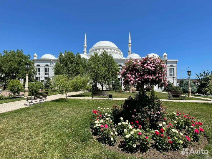 Экскурсии по дагестану