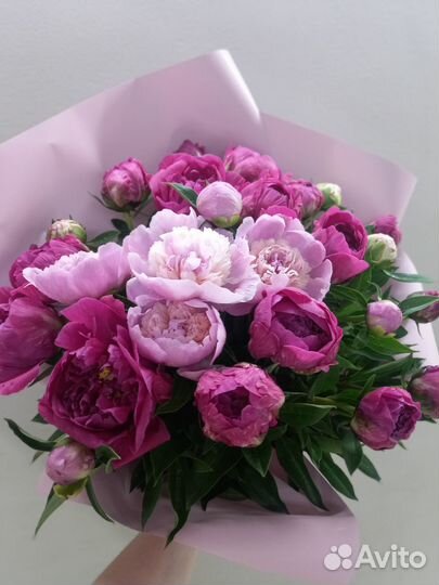 Букет из гипсофилы