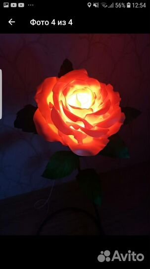 Ростовые цветы, светильники, арки