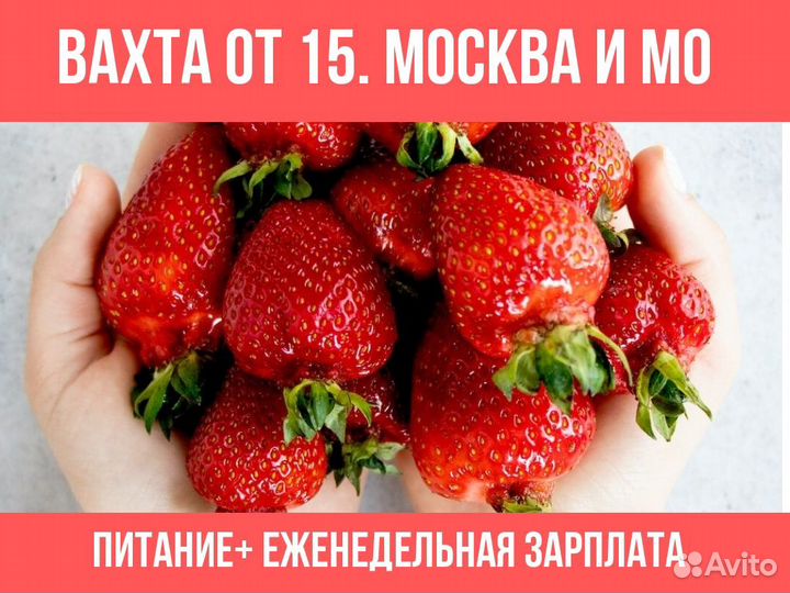 Упаковщик/ фасовщик /клубники/москва