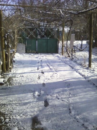 Дом 53 м² на участке 24,7 сот.