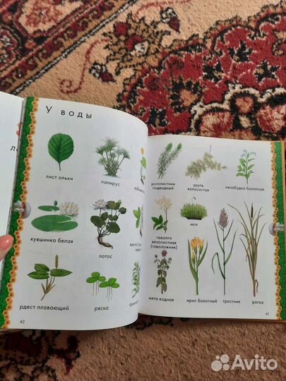 Энциклопедия Clever