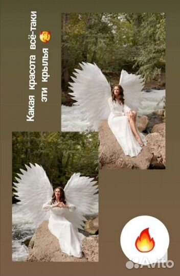 Крылья чёрные, белые, алые