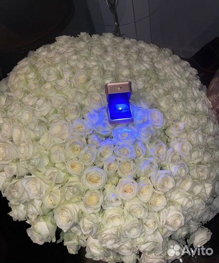 Розы для предложения